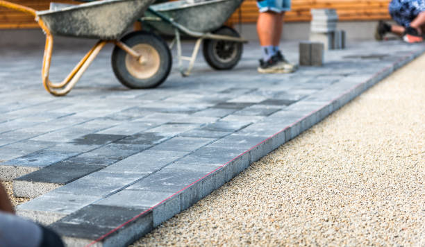 Best Driveway Paving Contractor  in Thompson, ND