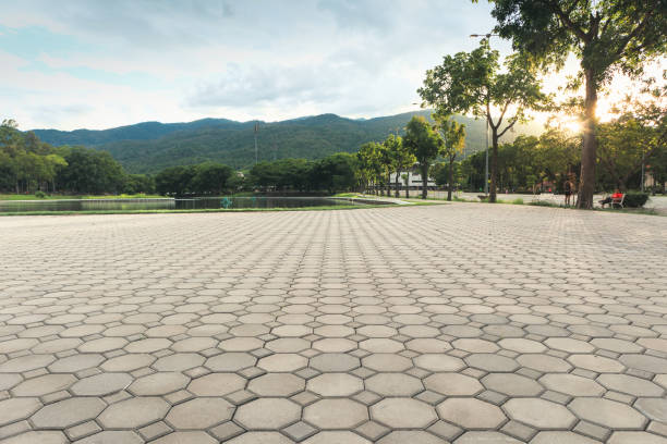 Best Residential Paver Driveway  in Thompson, ND