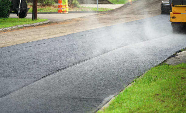 Best Professional Driveway Pavers  in Thompson, ND