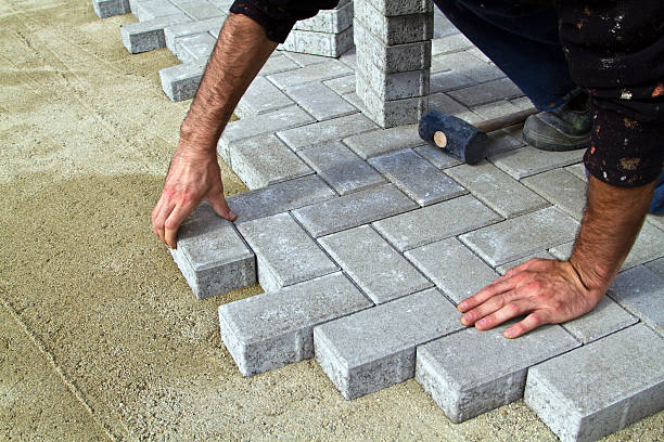 Best Professional Driveway Pavers  in Thompson, ND